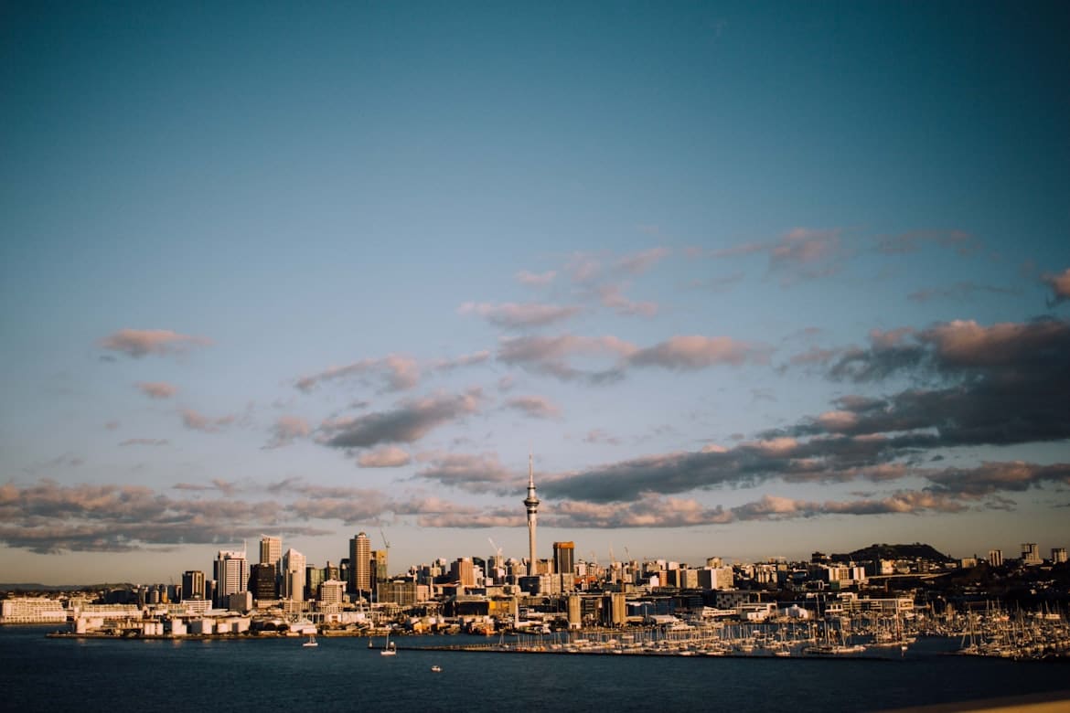 immigration services for new zealand in chandigarh