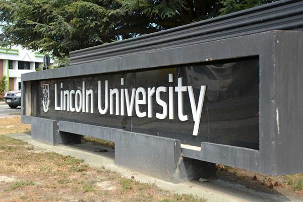 Understanding the Admission Process to New Zealand Universities