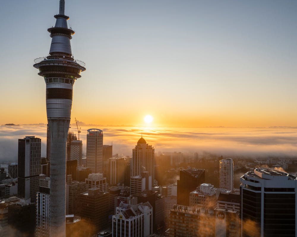 New Zealand July 2026 intake