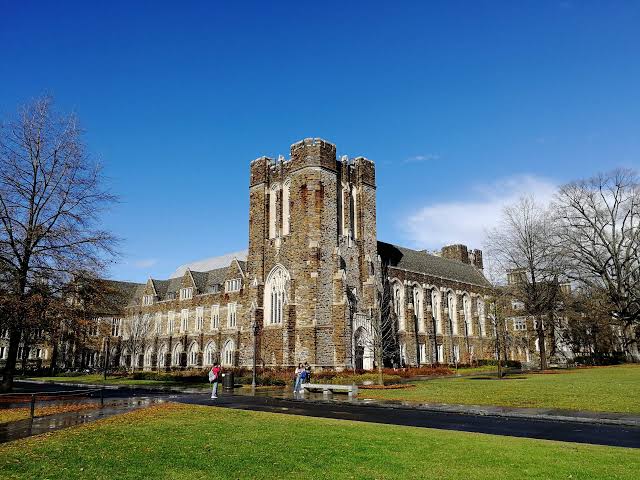 World-Ranked Universities in New Zealand