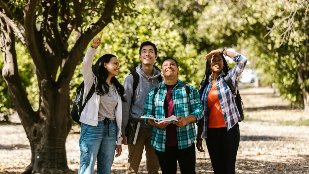 Best education consultancy for New Zealand student visa India