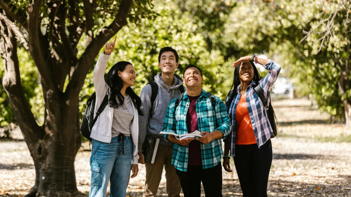 Best education consultancy for New Zealand student visa India